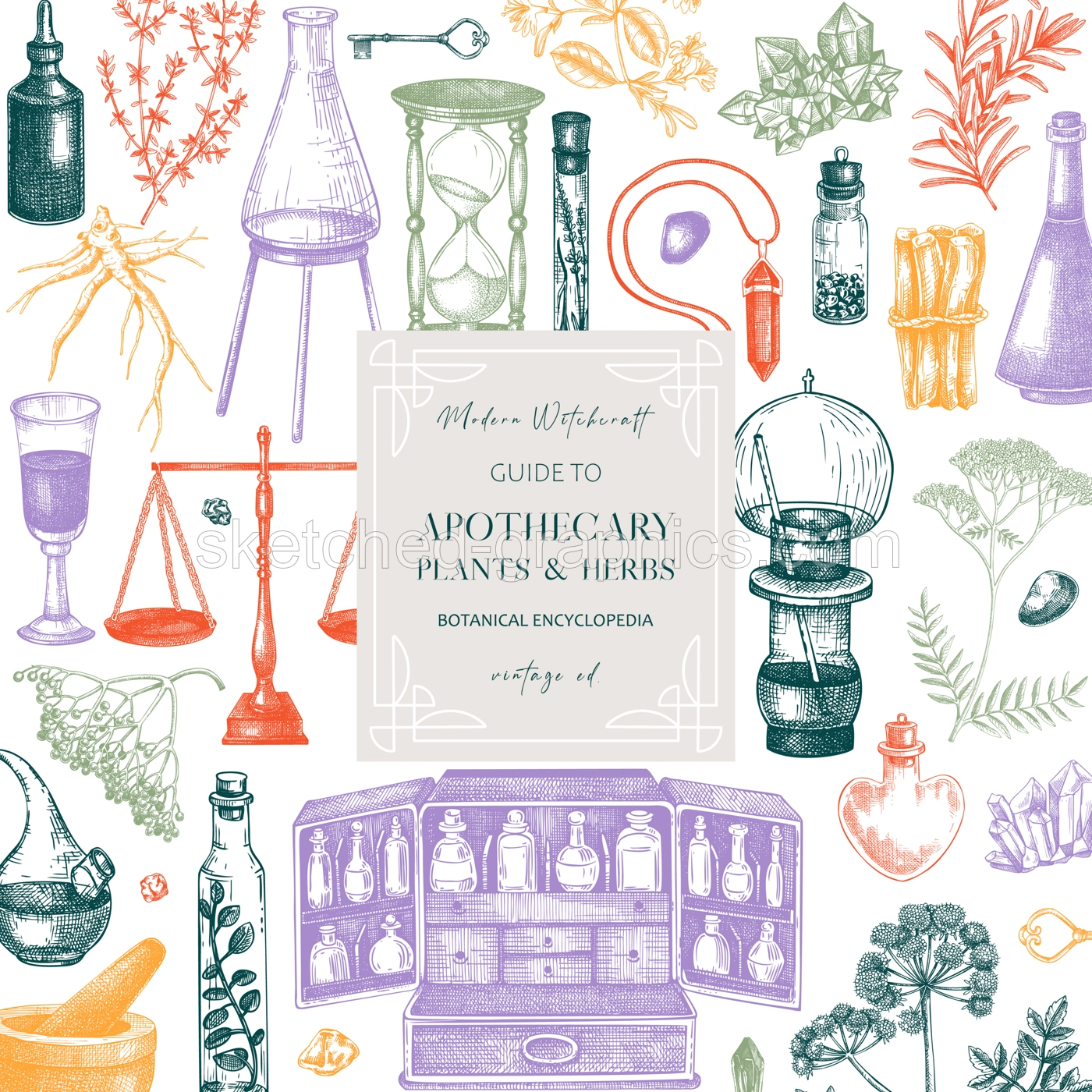 Antique apothecary card design. Herbal medicicne hand-drawn vector illustrations. Alchemy sketches. Boho chemistry background. NOT AI generated Illustration